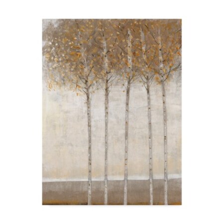 Trademark Fine Art Tim Otoole 'Early Fall I' Canvas Art, 35x47 WAG03265-C3547GG